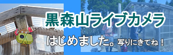 黒森山ライブカメラ